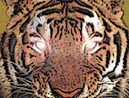 Fear Tiger