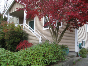 5762 27th Ave NE, Seattle WA 98105
