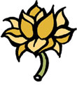 Seattle Body Therapy Classes